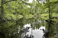 Property for sale in Lonoke County, Arkansas