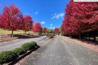 Undeveloped Land for sale in Alleghany County, North Carolina