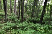 Farm Property for sale in Newaygo County, Michigan