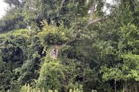 Property for sale in Dorchester County, South Carolina