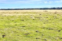 Ranch Property in Navarro County, Texas