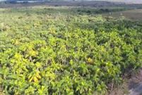 Property for sale in Miami-Dade County, Florida