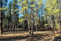 Farm Property for sale in Navajo County, Arizona