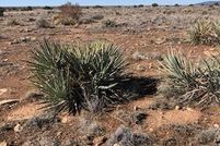 Property for sale in Navajo County, Arizona