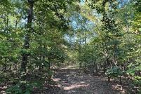 Undeveloped Land for sale in Iron County, Missouri
