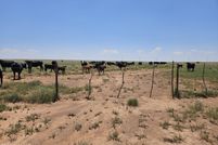 Recreational Property for sale in Navajo County, Arizona