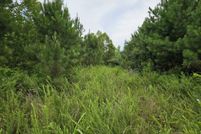 Property for sale in Marion County, Alabama