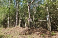 Timberland Property for sale in Stone County, Mississippi