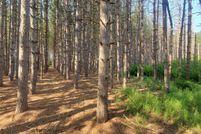 Undeveloped Land in Door County, Wisconsin