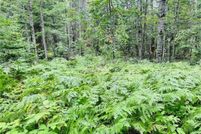 Undeveloped Land for sale in Itasca County, Minnesota