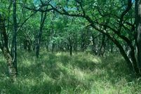Undeveloped Land for sale in McCurtain County, Oklahoma