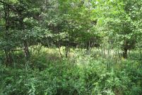Undeveloped Land for sale in Iosco County, Michigan