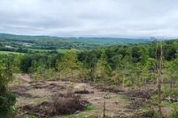 Recreational Property for sale in Preston County, West Virginia