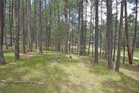 Timberland Property for sale in Sandoval County, New Mexico