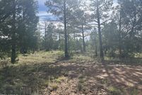 Property for sale in Navajo County, Arizona