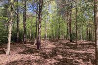 Undeveloped Land for sale in Greenville County, South Carolina
