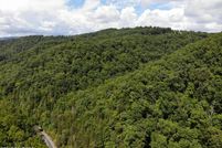 Timberland Property for sale in Claiborne County, Tennessee
