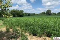 Farm Property for sale in McCracken County, Kentucky