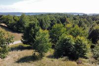Farm Property for sale in Manistee County, Michigan