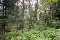 Hunting Land for sale in Iron County, Michigan