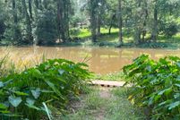 Property in Montgomery County, Texas