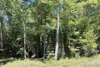Undeveloped Land for sale in Schoolcraft County, Michigan