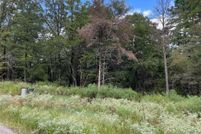 Undeveloped Land for sale in Smith County, Texas