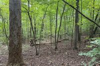 Recreational Property for sale in Mecklenburg County, Virginia