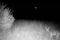 Property for sale in Miami County, Kansas