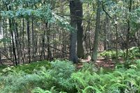 Property in Wayne County, Pennsylvania