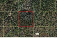Undeveloped Land for sale in Osceola County, Florida
