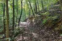 Undeveloped Land for sale in Gordon County, Georgia