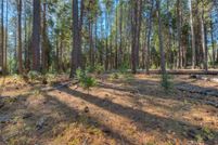 Undeveloped Land for sale in Butte County, California