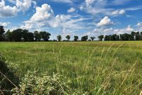 Undeveloped Land for sale in Titus County, Texas