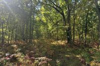 Undeveloped Land for sale in Clare County, Michigan