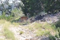 Property for sale in Comal County, Texas