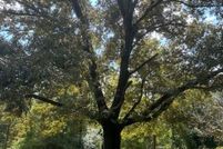 Property for sale in Shelby County, Alabama