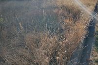 Undeveloped Land for sale in Klamath County, Oregon