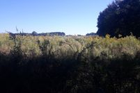Farm Property for sale in Coffee County, Alabama
