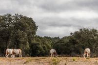 Property for sale in Blanco County, Texas