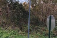 Property for sale in Cleburne County, Alabama