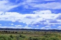 Undeveloped Land for sale in Apache County, Arizona