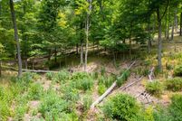 Property for sale in Grant County, West Virginia