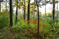 Property for sale in Albemarle County, Virginia