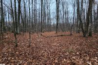 Residential Property for sale in Kalkaska County, Michigan