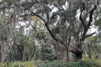 Property for sale in McIntosh County, Georgia