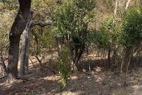 Farm Property for sale in Bell County, Texas