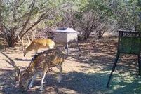 Undeveloped Land in Bandera County, Texas