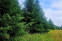 Undeveloped Land for sale in Sullivan County, New York