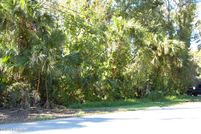 Undeveloped Land for sale in Volusia County, Florida